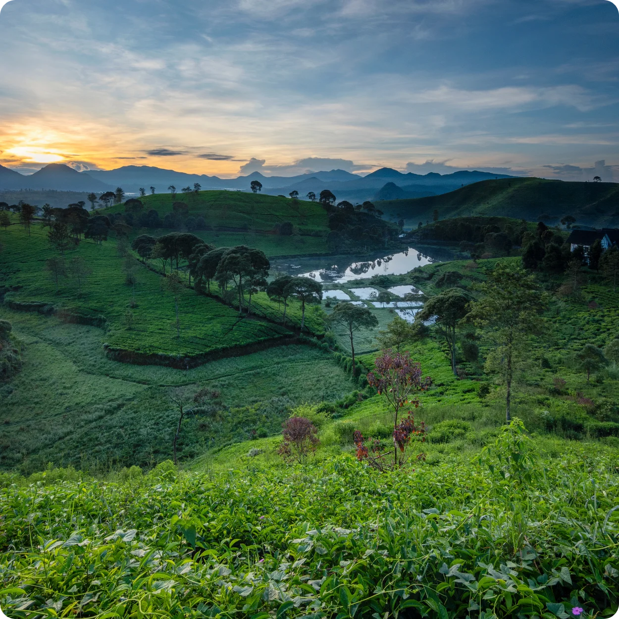 Untitled-design-21.webp Coorg Nature & Coffee Trails – 4N/5D - Image 1